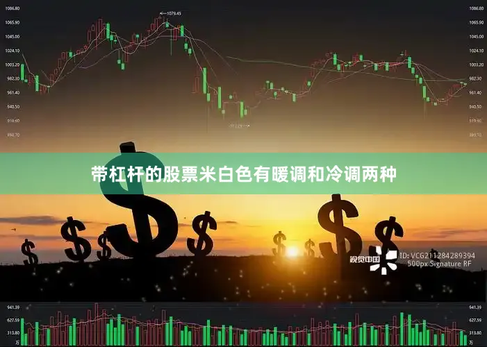 带杠杆的股票米白色有暖调和冷调两种