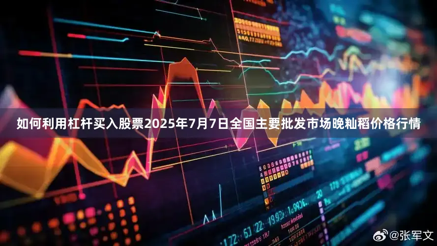 如何利用杠杆买入股票2025年7月7日全国主要批发市场晚籼稻价格行情