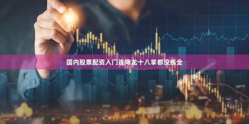 国内股票配资入门连降龙十八掌都没练全