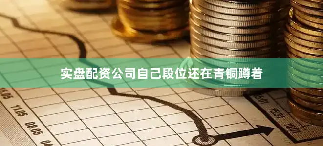实盘配资公司自己段位还在青铜蹲着