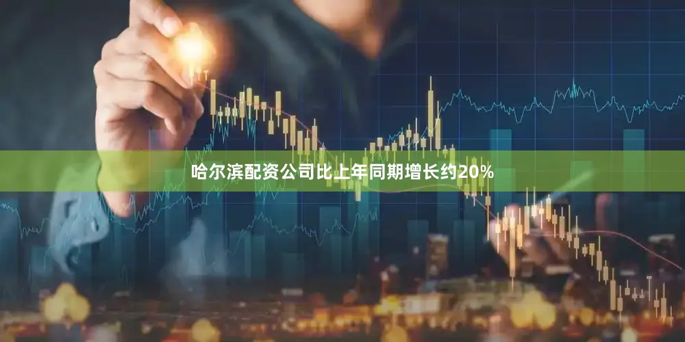 哈尔滨配资公司比上年同期增长约20%