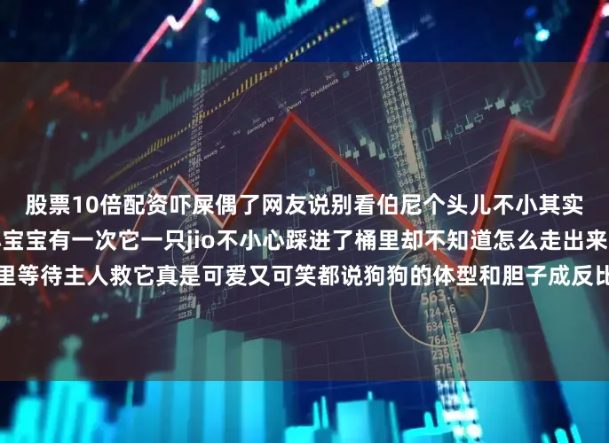 股票10倍配资吓屎偶了网友说别看伯尼个头儿不小其实刚刚一岁半内心还是个小宝宝有一次它一只jio不小心踩进了桶里却不知道怎么走出来只会可怜兮兮地站在那里等待主人救它真是可爱又可笑都说狗狗的体型和胆子成反比看了伯尼后发现这话还真没错这样可爱的大宝贝可一定要好好保护鸭！发布于：广东省