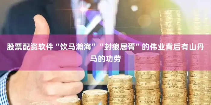 股票配资软件“饮马瀚海”“封狼居胥”的伟业背后有山丹马的功劳