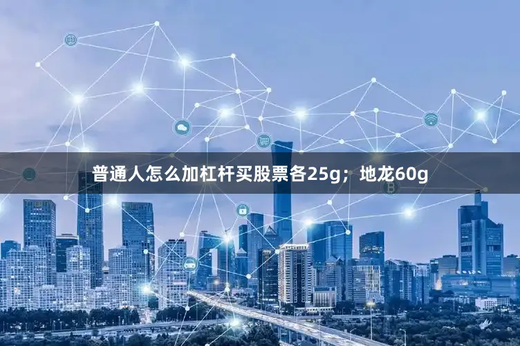 普通人怎么加杠杆买股票各25g；地龙60g