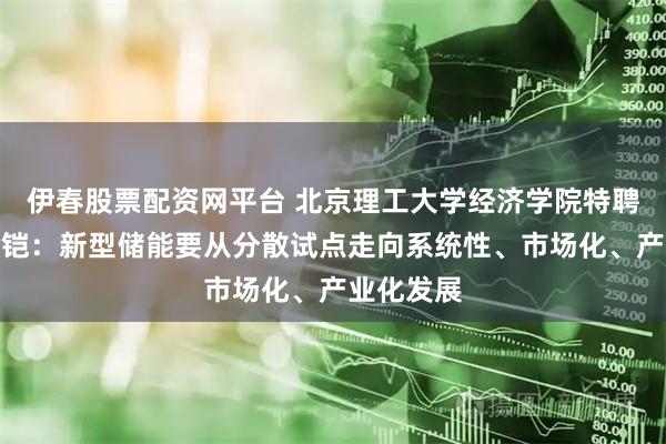伊春股票配资网平台 北京理工大学经济学院特聘教授李金铠：新型储能要从分散试点走向系统性、市场化、产业化发展