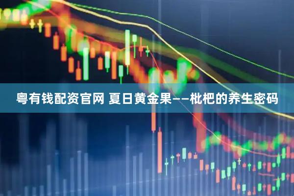粤有钱配资官网 夏日黄金果——枇杷的养生密码